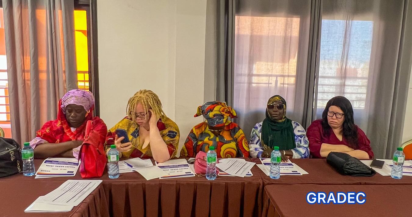 Panel de lancement du projet Wadial